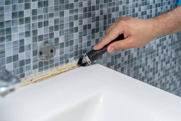 Best Emergency Mold Remediation in Wilmore, KY