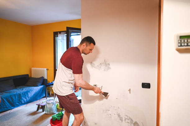 Best DIY Mold Remediation Support Services in Wilmore, KY